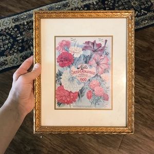 Framed vintage seed catalogue illustration